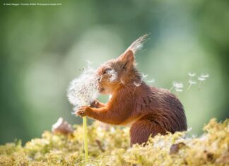 I nostri primi cinque secondi di vita… Lettera aperta