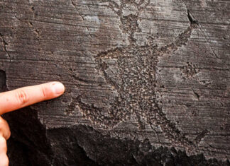 Apre nuovo Museo Archeologico Nazionale della Valle Camonica Museo Archeologico Nazionale della Valle Camonica