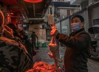 Covid, il G7 sfida la Cina: “Indagine sull’origine del virus” Wuhan Cina covid