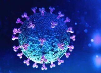 Financial Times: “Il covid zero è solo utopia”