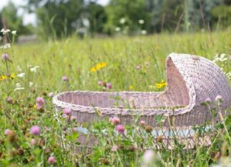 Crollo delle nascite in Italia