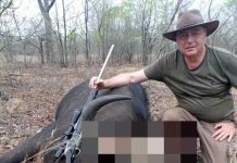 Ranucci, spunta la pista Zimbabwe: le mail con Lavitola sui carbon credit