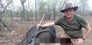 Ranucci, spunta la pista Zimbabwe: le mail con Lavitola sui carbon credit