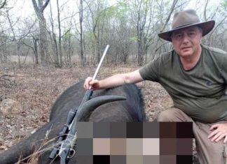 Ranucci, spunta la pista Zimbabwe: le mail con Lavitola sui carbon credit